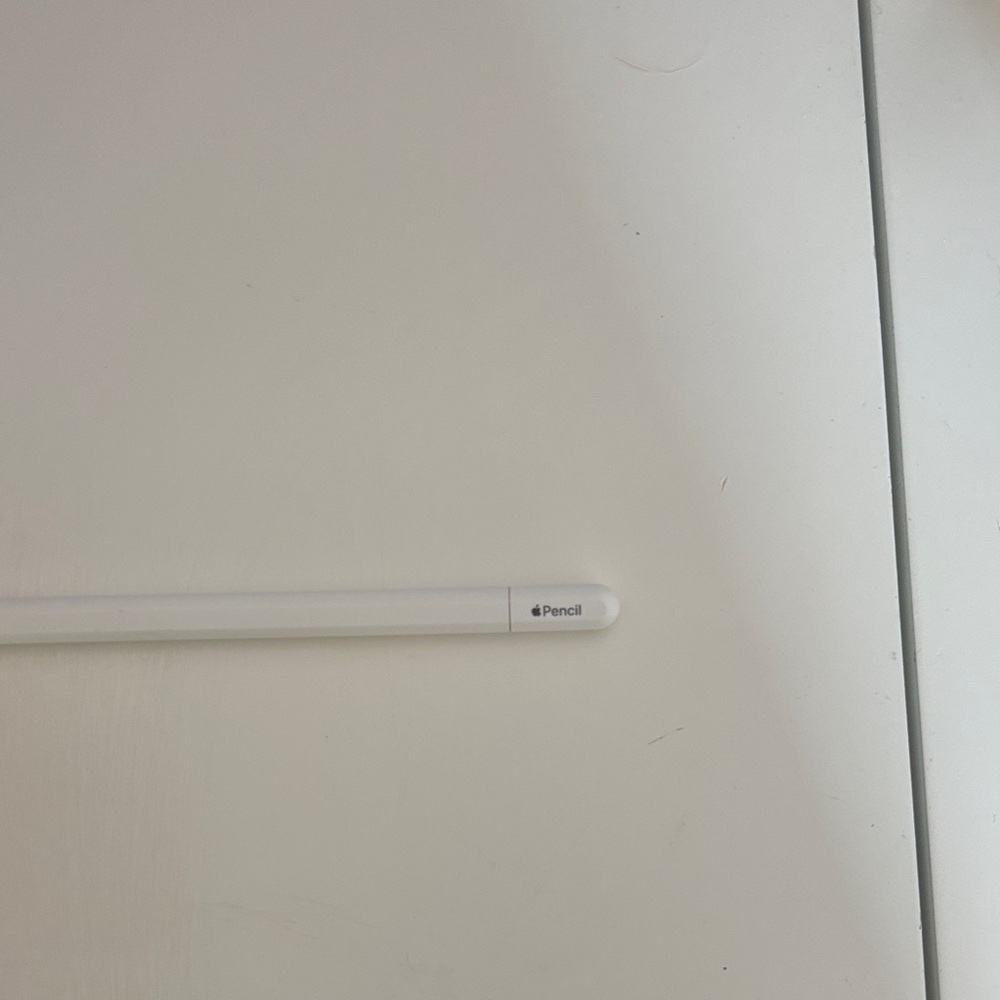 Apple Pencil White (NEVER USED NO BOX)